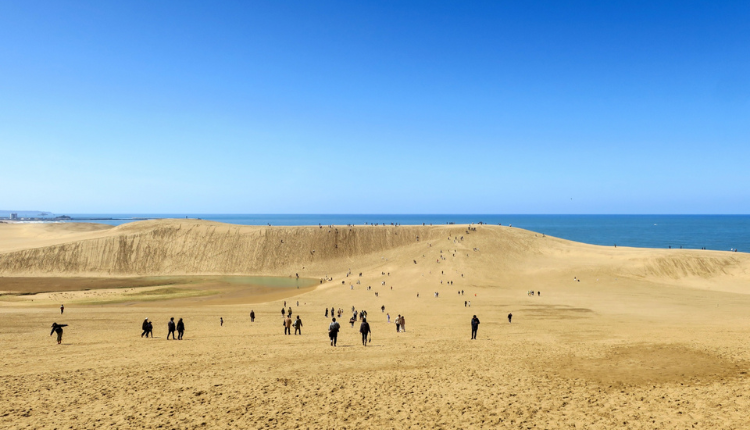 鳥取県_補助金イメージ
