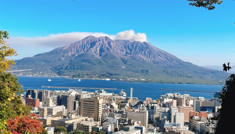 鹿児島県_補助金イメージ