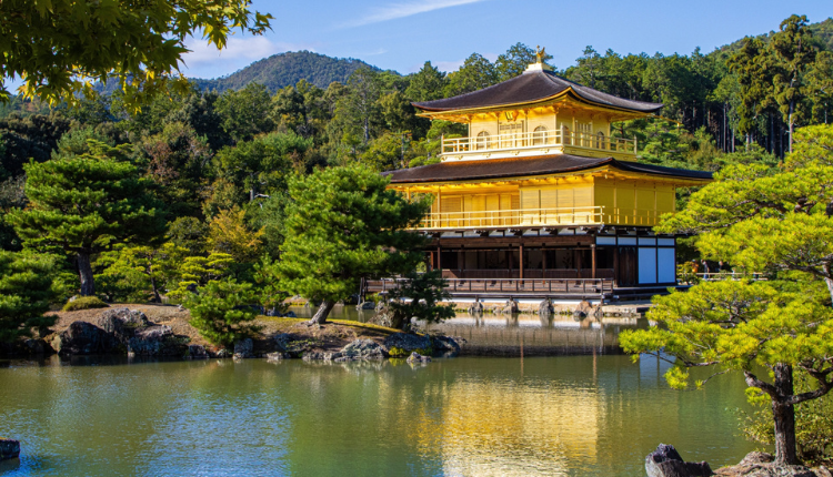 京都府_補助金イメージ