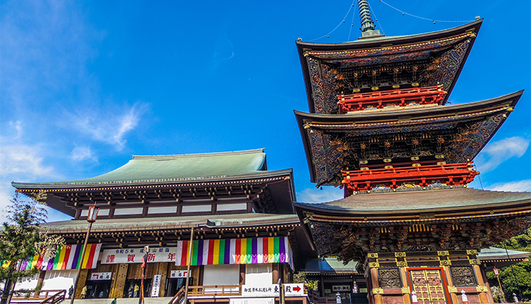 千葉県_補助金イメージ