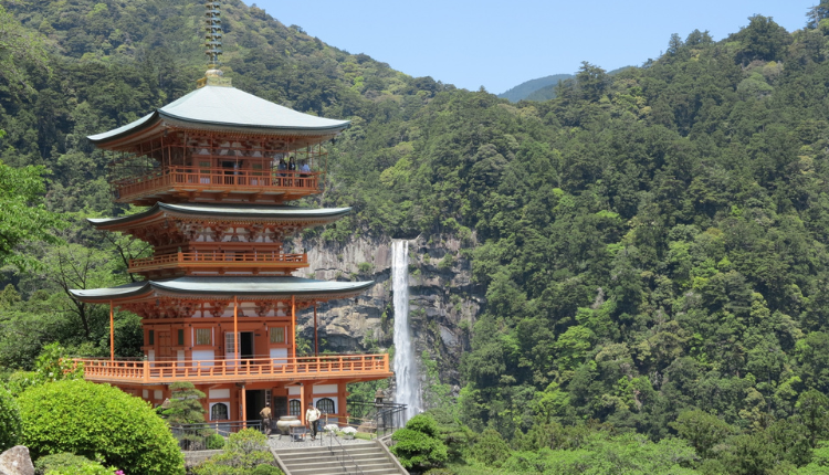 和歌山県_補助金イメージ