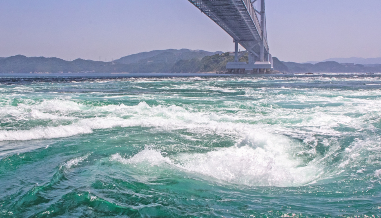 徳島県_補助金イメージ