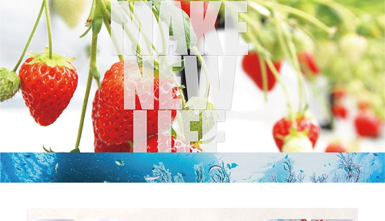 株式会社リバティワンイメージ